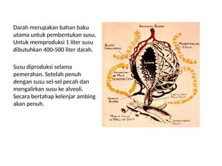 5_6_7 ANATOMI DAN FISIOLOGI AMBING sapi.pptx
