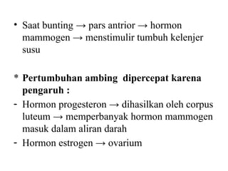 5_6_7 ANATOMI DAN FISIOLOGI AMBING sapi.pptx