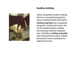 5_6_7 ANATOMI DAN FISIOLOGI AMBING sapi.pptx