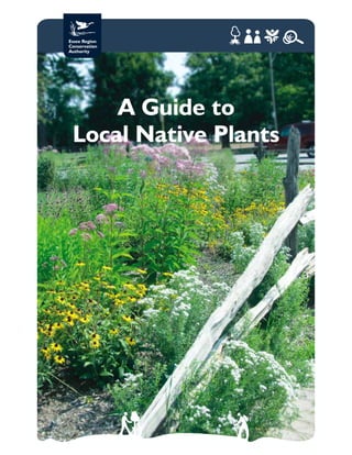 A Guide to
Local Native Plants
 