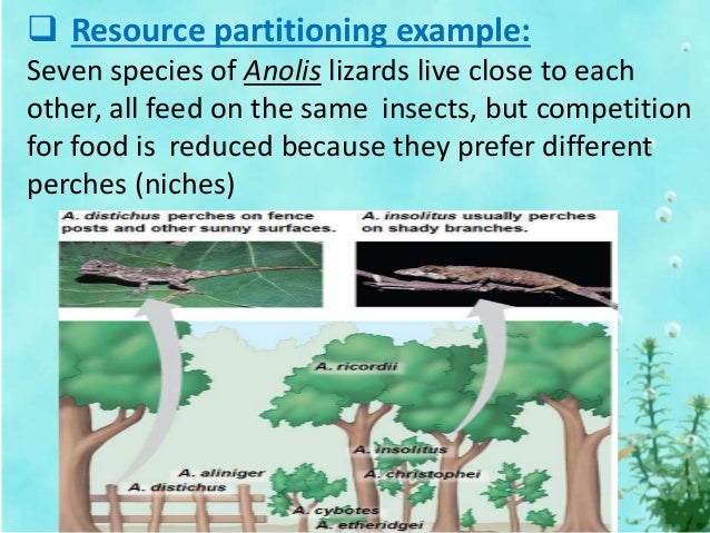 UNIT 3 POPULATION ECOLOGY (1)