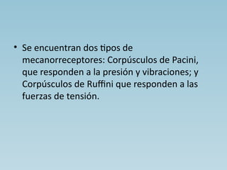 Reseptor Pacini Ruffini 56874045-Sistema-Tegumentario.pptxxxxxxxxxxxxxxx | PPTX