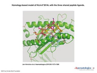 Characterization of Peptide Presentation by Low-Expression HLA Class I ...
