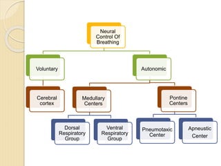 Neural
Control Of
Breathing
Voluntary
Cerebral
cortex
Autonomic
Medullary
Centers
Dorsal
Respiratory
Group
Ventral
Respiratory
Group
Pontine
Centers
Pneumotaxic
Center
Apneustic
Center
 
