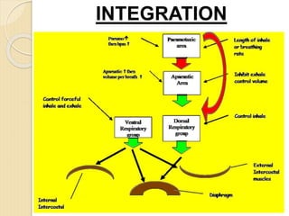 INTEGRATION
 