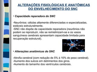 ALTERAÇÕES FISIOLÓGICAS E ANATÔMICAS DO ENVELHECIMENTO DO SNC Capacidade reparadora do SNC  Neurônios: células altamente diferenciadas e especializadas, estáveis estruturalmente. SNC não dispõe de capacidade reparadora (neurônios não podem se reproduzir, não se remielinizam-se e os vasos sanguíneos cerebrais apresentam capacidade limitada para recuperação estrutural). Alterações anatômicas do SNC Atrofia cerebral (com redução de 5% à 10% do peso cerebral). Aumento dos sulcos em detrimentos dos giros. Aumento do tamanho dos ventrículos cerebrais. 