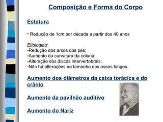 Composição e Forma do Corpo Estatura Redução de 1cm por década a partir dos 40 anos Etiologias : Redução dos arcos dos pés; Aumento da curvatura da coluna; Alteração dos discos intervertebrais; Não há alterações no tamanho dos ossos longos. Aumento dos diâmetros da caixa torácica e do crânio Aumento da pavilhão auditivo Aumento do Nariz 