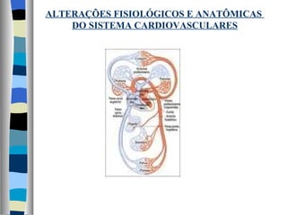 ALTERAÇÕES FISIOLÓGICOS E ANATÔMICAS  DO SISTEMA CARDIOVASCULARES 