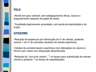PELE Atrofia em grau variável, com adelgaçamento difuso, secura e pregueamento (aspecto de papel de seda); Tonalidade ligeiramente amarelada, com perda de elasticidade e do turgor. EPIDERME Redução da espessura por diminuição do nº de células, podendo ocorrer    do nº de camadas celulares do estrato espinhoso; Células da camada basal e espinhosa com alterações do volume e forma e por vezes com disposição desordenada; Redução do ¨ turn-over celular ¨:    no tempo para substituição do estrato córneo e portanto    no tempo de reepitelização; 