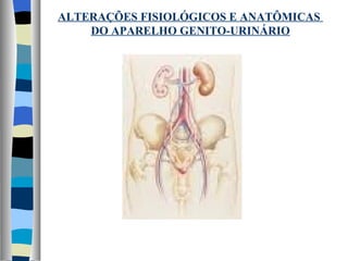 ALTERAÇÕES FISIOLÓGICOS E ANATÔMICAS  DO APARELHO GENITO-URINÁRIO 
