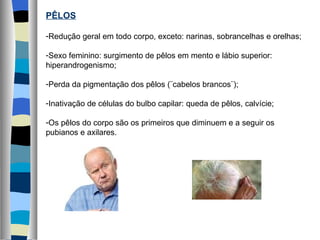 PÊLOS Redução geral em todo corpo, exceto: narinas, sobrancelhas e orelhas; Sexo feminino: surgimento de pêlos em mento e lábio superior: hiperandrogenismo; Perda da pigmentação dos pêlos (¨cabelos brancos¨); Inativação de células do bulbo capilar: queda de pêlos, calvície; Os pêlos do corpo são os primeiros que diminuem e a seguir os pubianos e axilares. 