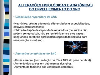 ALTERAÇÕES FISIOLÓGICAS E ANATÔMICAS
DO ENVELHECIMENTO DO SNC
• Capacidade reparadora do SNC
-Neurônios: células altamente diferenciadas e especializadas,
estáveis estruturalmente.
-SNC não dispõe de capacidade reparadora (neurônios não
podem se reproduzir, não se remielinizam-se e os vasos
sanguíneos cerebrais apresentam capacidade limitada para
recuperação estrutural).
• Alterações anatômicas do SNC
-Atrofia cerebral (com redução de 5% à 10% do peso cerebral).
-Aumento dos sulcos em detrimentos dos giros.
-Aumento do tamanho dos ventrículos cerebrais.
 
