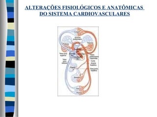 ALTERAÇÕES FISIOLÓGICOS E ANATÔMICAS
DO SISTEMA CARDIOVASCULARES
 