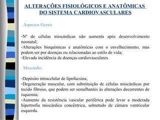 ALTERAÇÕES FISIOLÓGICOS E ANATÔMICAS
DO SISTEMA CARDIOVASCULARES
. Aspectos Gerais
-Nº de células miocárdicas não aumenta após desenvolvimento
neonatal;
-Alterações bioquímicas e anatômicas com o envelhecimento, mas
podem ser por doenças ou relacionadas ao estilo de vida;
-Elevada incidência de doenças cardiovasculares.
. Miocárdio
-Depósito intracelular de lipofucsina;
-Degeneração muscular, com substituição de células miocárdicas por
tecido fibroso, que podem ser semelhantes às alterações decorrentes de
isquemia;
-Aumento da resistência vascular periférica pode levar a moderada
hipertrofia miocárdica concêntrica, sobretudo de câmara ventricular
esquerda.
 