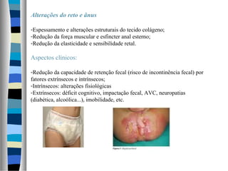 Alterações do reto e ânus
-Espessamento e alterações estruturais do tecido colágeno;
-Redução da força muscular e esfincter anal esterno;
-Redução da elasticidade e sensibilidade retal.
Aspectos clínicos:
-Redução da capacidade de retenção fecal (risco de incontinência fecal) por
fatores extrínsecos e intrínsecos;
-Intrínsecos: alterações fisiológicas
-Extrínsecos: déficit cognitivo, impactação fecal, AVC, neuropatias
(diabética, alcoólica...), imobilidade, etc.
 