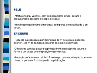 PELE
-Atrofia em grau variável, com adelgaçamento difuso, secura e
pregueamento (aspecto de papel de seda);
-Tonalidade ligeiramente amarelada, com perda de elasticidade e do
turgor.
EPIDERME
-Redução da espessura por diminuição do nº de células, podendo
ocorrer ↓ do nº de camadas celulares do estrato espinhoso;
-Células da camada basal e espinhosa com alterações do volume e
forma e por vezes com disposição desordenada;
-Redução do ¨turn-over celular¨: ↑ no tempo para substituição do estrato
córneo e portanto ↑ no tempo de reepitelização;
 