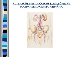 ALTERAÇÕES FISIOLÓGICOS E ANATÔMICAS
DO APARELHO GENITO-URINÁRIO
 