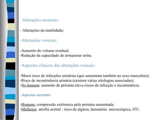 . Alterações ureterais:
- Alterações da motilidade;
-Alterações vesicais:
-Aumento do volume residual;
-Redução da capacidade de armazenar urina.
-Aspectos clínicos das alterações vesicais:
-Maior risco de infecções urinárias (que aumentam também no sexo masculino);
-Risco de incontinência urinária (existem várias etiologias associadas);
-No homem: aumento de próstata eleva riscos de infecção e incontinência.
-Aspectos uretrais:
-Homens: compressão extrínseca pela próstata aumentada;
-Mulheres: atrofia uretral : risco de algúria, hematúria microcóspica, ITU.
 