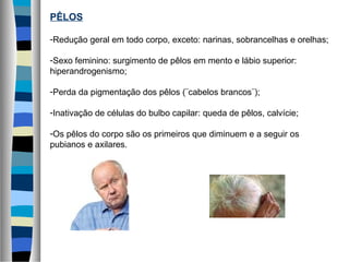 PÊLOS
-Redução geral em todo corpo, exceto: narinas, sobrancelhas e orelhas;
-Sexo feminino: surgimento de pêlos em mento e lábio superior:
hiperandrogenismo;
-Perda da pigmentação dos pêlos (¨cabelos brancos¨);
-Inativação de células do bulbo capilar: queda de pêlos, calvície;
-Os pêlos do corpo são os primeiros que diminuem e a seguir os
pubianos e axilares.
 