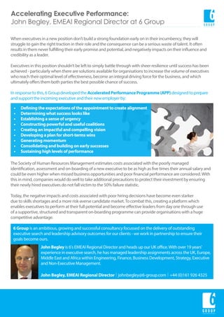 Accelerating Executive Performance - 6 Group | PDF