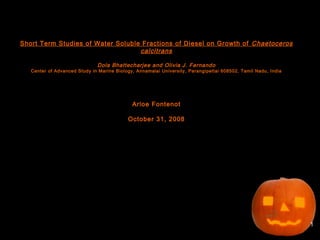 1
Short Term Studies of Water Soluble Fractions of Diesel on Growth of Chaetoceros
calcitrans
Dola Bhattecharjee and Olivia J. Fernando
Center of Advanced Study in Marine Biology, Annamalai University, Parangipettai 608502, Tamil Nadu, India
Arloe Fontenot
October 31, 2008
 