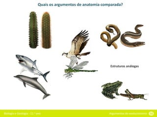 Biologia e Geologia - 11.o ano Argumentos do evolucionismo 56
Quais os argumentos de anatomia comparada?
Estruturas análogas
 