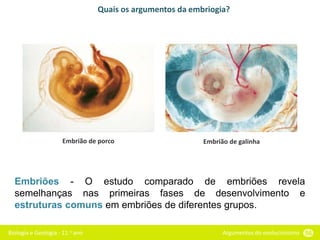 Biologia e Geologia - 11.o ano Argumentos do evolucionismo 56
Quais os argumentos da embriogia?
Embrião de porco Embrião de galinha
Embriões - O estudo comparado de embriões revela
semelhanças nas primeiras fases de desenvolvimento e
estruturas comuns em embriões de diferentes grupos.
 
