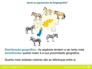 Biologia e Geologia - 11.o ano Argumentos do evolucionismo 56
Quais os argumentos da biogeografia?
Distribuição geográfica - As espécies tendem a ser tanto mais
semelhantes quanto maior é a sua proximidade geográfica.
Quanto mais isoladas maiores são as diferenças entre si.
 