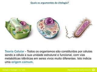 Biologia e Geologia - 11.o ano Argumentos do evolucionismo 56
Quais os argumentos da citologia?
Teoria Celular - Todos os organismos são constituídos por células
sendo a célula a sua unidade estrutural e funcional, com vias
metabólicas idênticas em seres vivos muito diferentes. Isto indicia
uma origem comum.
 