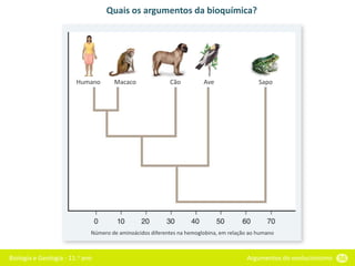 Biologia e Geologia - 11.o ano Argumentos do evolucionismo 56
Quais os argumentos da bioquímica?
Número de aminoácidos diferentes na hemoglobina, em relação ao humano
Humano Macaco Cão Ave Sapo
 