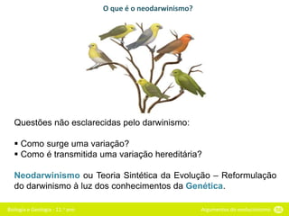 Biologia e Geologia - 11.o ano Argumentos do evolucionismo 56
O que é o neodarwinismo?
Questões não esclarecidas pelo darwinismo:
 Como surge uma variação?
 Como é transmitida uma variação hereditária?
Neodarwinismo ou Teoria Sintética da Evolução – Reformulação
do darwinismo à luz dos conhecimentos da Genética.
 