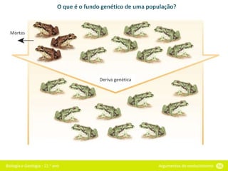 Biologia e Geologia - 11.o ano Argumentos do evolucionismo 56
O que é o fundo genético de uma população?
Deriva genética
Mortes
 