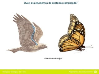 Biologia e Geologia - 11.o ano Argumentos do evolucionismo 56
Quais os argumentos de anatomia comparada?
Estruturas análogas
 
