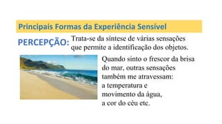 Principais Formas da Experiência Sensível
PERCEPÇÃO: Trata-se da síntese de várias sensações
que permite a identificação dos objetos.
Quando sinto o frescor da brisa
do mar, outras sensações
também me atravessam:
a temperatura e
movimento da água,
a cor do céu etc.
 