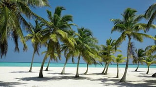 T E C H N I C A L S E O " O V E R O P T I M I Z AT I O N " | H A M L E T
B AT I S TA G R O U P
7 / 2 1 / 2 0 1 6 6
 