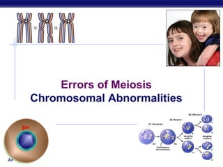 Errors of Meiosis
        Chromosomal Abnormalities




AP Biology                          2006-2007
 