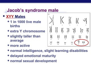 56 ch15chromosomalabnormalities2008 | PPT