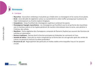 11
Cultiverdestruffes
Annexes
A – Lexique
– Mycorhize : Association simbiotique mutualiste qui s’établi entre un champignon et les racines d’une plante.
– Brulé : Zone dénudée de végétation autour ou à proximité d’un arbre truffier provoqué par la présence du
Tuber melanosporum ou d’autres espèces fongiques.
– Carpophores : Corps fructifiant des champignons supérieurs contenant les spores.
– Champignons hypogés mycorhiziens : Les champignons qui fructifient sous le sol qui forme des mycorhizes
avec le manteau externe et les hyphes pénètrent de manière intercellulaire dans la racine, sans pénétrer à
l'intérieur des cellules.
– Mycélium : Partie végétative des champignons composée de filaments (hyphes) qui assurent des fonctions de
nutrition et colonisation.
– Racines trophiques : Racines dont la fonction principale est d'absorber les nutriments et l'eau.
– Semelle de labour : Zone plus ou moins compactée qui se forme dans les sols agricoles après des années de
culture, en passant la charrue à la même profondeur.
– Structure du sol : Regroupement des particules en mottes stables entre lesquelles l'eau et l'air peuvent
circuler.
 