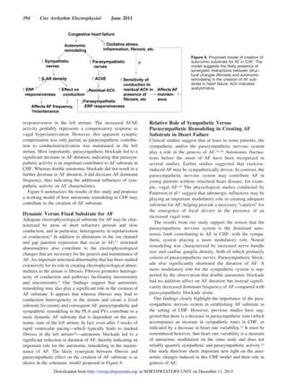 responsiveness in the left atrium. The increased AChE
activity probably represents a compensatory response to
vagal hyperinnervation. However, this apparent synaptic
compensation was only partial, as parasympathetic contribu-
tion to conduction/activation was maintained in the left
atrium. Most importantly, parasympathetic blockade led to a
significant decrease in AF duration, indicating that parasym-
pathetic activity is an important contributor to AF substrate in
CHF. Whereas double autonomic blockade did not result in a
further decrease in AF duration, it did decrease AF dominant
frequency, thus indicating the additional influences of sym-
pathetic activity on AF characteristics.
Figure 6 summarizes the results of this study and proposes
a working model of how autonomic remodeling in CHF may
contribute to the creation of AF substrate.
Dynamic Versus Fixed Substrate for AF
Adequate electrophysiological substrate for AF may be char-
acterized by areas of short refractory periods and slow
conduction, and in particular, heterogeneity in repolarization
or conduction.5 In addition to alterations in the ion channel
and gap junction expression that occur in AF,17 structural
abnormalities also contribute to the electrophysiological
changes that are necessary for the genesis and maintenance of
AF. An important structural abnormality that has been studied
extensively for its role in creating electrophysiological abnor-
malities in the atrium is fibrosis. Fibrosis promotes heteroge-
neity of conduction and pathways facilitating microreentry
and macroreentry.5 Our findings suggest that autonomic
remodeling may also play a significant role in the creation of
AF substrate. It appears that whereas fibrosis may lead to
conduction heterogeneity in the atrium and create a fixed
substrate for reentry and consequent AF, parasympathetic and
sympathetic remodeling in the PLA and PVs contribute to a
more dynamic AF substrate that is dependent on the auto-
nomic state of the left atrium. In fact, even after 3 weeks of
rapid ventricular pacing—which typically leads to marked
fibrosis in the left atrium18—autonomic blockade led to a
significant reduction in duration of AF, thereby indicating an
important role for the autonomic remodeling in the mainte-
nance of AF. The likely synergism between fibrosis and
parasympathetic effect on the creation of AF substrate is as
shown in the schematic model proposed in Figure 6.
Relative Role of Sympathetic Versus
Parasympathetic Remodeling in Creating AF
Substrate in Heart Failure
Clinical studies suggest that at least in some patients, the
sympathetic and/or the parasympathetic nervous system
play a role in the genesis of AF.19,20 Autonomic fluctua-
tions before the onset of AF have been recognized in
several studies. Earlier studies suggested that exercise-
induced AF may be sympathetically driven. In contrast, the
parasympathetic nervous system may contribute AF in
young patients without structural heart disease, for exam-
ple, vagal AF.19 The physiological studies conducted by
Patterson et al21 suggest that adrenergic influences may be
playing an important modulatory role in creating adequate
substrate for AF, helping provide a necessary “catalyst” for
the emergence of focal drivers in the presence of an
increased vagal tone.
The results from our study support the notion that the
parasympathetic nervous system is the dominant auto-
nomic limb contributing to AF in CHF, with the sympa-
thetic system playing a more modulatory role. Neural
remodeling was characterized by increased nerve bundle
size and cardiac ganglia density, both of which primarily
consist of parasympathetic nerves. Parasympathetic block-
ade also significantly shortened the duration of AF. A
more modulatory role for the sympathetic system is sup-
ported by the observation that double autonomic blockade
had no addition affect on AF duration but instead signifi-
cantly decreased dominant frequency of AF compared with
parasympathetic blockade alone.
Our findings clearly highlight the importance of the para-
sympathetic nervous system in establishing AF substrate in
the setting of CHF. However, previous studies have sug-
gested that there is a decrease in parasympathetic tone (which
accompanies an increase in sympathetic tone) in CHF, as
indicated by a decrease in heart rate variability.22 It must be
remembered however, that heart rate variability is a measure
of autonomic modulation on the sinus node and does not
reliably quantify sympathetic and parasympathetic activity.23
Our study therefore sheds important new light on the auto-
nomic changes induced in this CHF model and their role in
genesis of AF.
Figure 6. Proposed model of creation of
autonomic substrate for AF in CHF. The
model suggests the likely presence of
synergistic interactions between struc-
tural changes (ﬁbrosis) and autonomic
remodeling in the creation of AF sub-
strate in heart failure. ACh indicates
acetylcholine.
394 Circ Arrhythm Electrophysiol June 2011
at NORTHWESTERN UNIV on December 11, 2015http://circep.ahajournals.org/Downloaded from
 