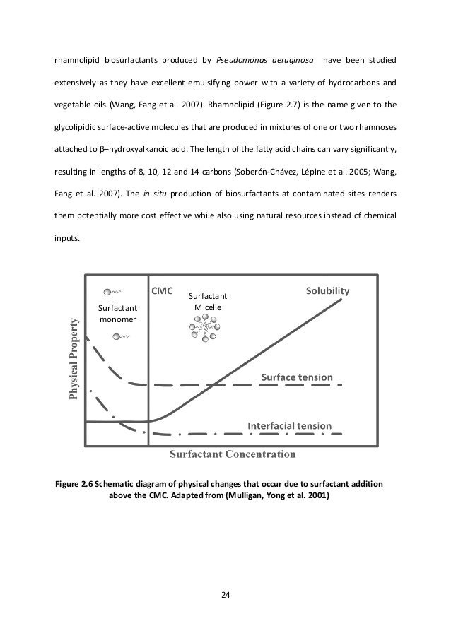 Thesis on biosurfactants