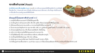 S C I E N C E
Demonstration school of Khon Kaen university Nong Khai campus
ซากดึกดาบรรพ (Fossil)
ลักษณะทั่วไปของซากดึกดาบรรพ์ มีดังนี้
1) เปนสิ่งที่เกิดขึ้นตามธรรมชาติ ไมใชสิ่งที่มนุษยทาขึ้น
2) สวนใหญมีรปรางลักษณะคลายสัตว พืช หรือ จุลชีพ หรือรองรอยของสิ่งมีชีวิตในปจจุบัน
3) มีลักษณะหรือสวนประกอบเปนหิน แร ตะกอนวัสดุที่เกิดขึ้นตามธรรมชาติ
4) ไมประกอบดวยวัสดุสังเคราะห เชน พลาสติก เรซิน แกว ปูนซีเมนต ปูนพลาสเตอร ไม แกะสลัก ฯลฯ เปนตน
5) มักพบฝงอยูในหินตะกอน หรือ ชั้นตะกอนที่แข็งตัว หรือในหินผุ
6) หนักกวาซากสัตวปจจุบันที่มีลักษณะคลายกัน ขนาดเทากัน
7) มักไมมีสีสันสดใส หรือ ลวดลายที่สวยงามชัดเจน เหมือนสัตวปจจุบัน
8) สวนใหญไมมีเนื้อเยื่อออนนุม หรือ DNA เหลืออยู
9) มักมีอายุมากกอนประวัติศาสตร โดยทั่วไปกาหนดที่ 10,000 ป ขึ้นไป
10) สิ่งที่มนุษยจาลองขึ้นจะเรียกวา แบบจาลอง (replica) อาจใชประโยชนเสมือนซากดึกดาบรรพไดแตก็ไมใชซากดึกดาบรรพ์
ซากดึกดาบรรพ หรือ ฟอสซิล (Fossil) หมายถึง ซากหรือรองรอยของสิ่งมีชีวิตสมัยดึกดาบรรพที่อยูใน
ชั้นเปลือกโลก ( ตังแตธรณีกาลตางๆในอดีต หรือตังแตกอนประวัติศาสตร) หรือ ที่หลุด หรือที่นาออกมา
จากชั้นเปลือกโลกเปนหลักฐานของสิ่งมีชีวิตในอดีต
 