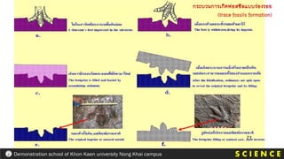 กระบวนการเกิดฟอสซิลแบบร่องรอย
(trace fossils formation)
S C I E N C E
Demonstration school of Khon Kaen university Nong Khai campus
 