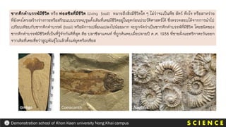 ซากดึกดาบรรพ์มีชีวิต หรือ ฟอสซิลที่มีชีวิต (Living fossil) หมายถึงสิ่งมีชีวิตใด ๆ ไม่ว่าจะเป็นพืช สัตว์ ฟังไจ หรือสาหร่าย
ที่ยังคงโครงสร้างร่างกายหรือสรีระแบบบรรพบุรุษดั้งเดิมที่เคยมีชีวิตอยู่ในยุคก่อนประวัติศาสตร์ได้ ซึ่งตรวจสอบได้จากการนาไป
เปรียบเทียบกับซากดึกดาบรรพ์ (fossil) หรือมีการเปลี่ยนแปลงไปน้อยมาก จะถูกจัดว่าเป็นซากดึกดาบรรพ์ที่มีชีวิต โดยชนิดของ
ซากดึกดาบรรพ์มีชีวิตที่เป็นที่รู้จักกันดีที่สุด คือ ปลาซีลาแคนท์ ที่ถูกค้นพบเมื่อปลายปี ค.ศ. 1938 ที่ชายฝั่งแอฟริกาตะวันออก
จากเดิมที่เคยเชื่อว่าสูญพันธุ์ไปแล้วตั้งแต่ยุคครีเทเชียส
Coelacanth
Ginkgo Nautilus
S C I E N C E
Demonstration school of Khon Kaen university Nong Khai campus
 