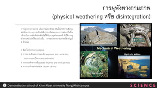 การผุพังทางกายภาพ
(physical weathering หรือ disintegration)
การผุพังทางกายภาพ เป็นการแตกหักของหินโดยวิธีการเชิงกล
แต่ส่วนประกอบของหินไม่มีการเปลี่ยนแปลง การแตกเป็นชิ้น
เล็กๆเป็นการเพิ่มพื้นผิวสัมผัสให้กับการผุพังทางเคมี ทาให้การผุ
พังทางเคมีเกิดได้รวดเร็วขึ้น การผุพังทางกายภาพที่สาคัญมี
4 ลักษณะ
1. ลิ่มน้าแข็ง (frost wedging)
2. การขยายตัวและการหดตัว (expansion and contraction)
และการแยกเป็นกาบมน (exfoliation)
3. การกระทาจากคลื่นและลม (Hydroric and wind activities)
4. การกระทาของสิ่งมีชีวิต (organic activity)
S C I E N C E
Demonstration school of Khon Kaen university Nong Khai campus
 