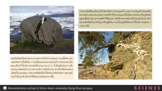 S C I E N C E
Demonstration school of Khon Kaen university Nong Khai campus
ฝนหรือหิมะที่ละลายสามารถแทรกเข้าไปตามรอยแตก แนวชั้นหิน และ
รอยเปิดต่างๆในชั้นหิน การเปลี่ยนแปลงสถานะของน้าจากของเหลวเป็น
ของแข็งทาให้ปริมาตรเพิ่มขึ้นประมาณ 9 % น้าที่อยู่ในช่องว่างซึ่ง
ส่วนนบนสัมผัสกับอากาศจะเกดิการแข็งตัวกอ่น ส่วนที่เหลือจึงค่อยๆ
แข็งตัวในระยะต่อมา ปริมาตรที่เพิ่มขึ้นทาให้เกิดแรงดันจึงเกิดการขยายตัว
ออกไปในแนวด้านข้างทาให้ข่องว่างเปิดออกมากขึ้น
รากของพืชที่ซอนไซลงไปในหินเพื่อหาแร่ธาตุและน้า และการเจริญเติบโตของพืช
ขนาดเล็กบนหิน มีแรงดันมากพอที่ทาให้เกิดรอยแตกขึ้นในหิน สัตว์ขนาดใหญ่ที่เดิน
อยู่บนพื้นดิน มีแรงมากพอที่ทาให้หินแตก สัตว์ปีกหลายชนิดกลืนก้อนหินเข้าไป สัตว์
ขนาดเล็กที่ขุดโพรงหรือรูอาศัยอยู่ในดิน รวมทั้งมนุษย์ก็มีส่วนทาให้เกิดการผุพังทาง
กายภาพได้
 