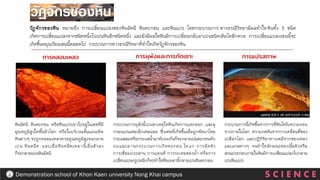 วัฏจักรของหิน หมายถึง การเปลี่ยนแปลงของหินอัคนี หินตะกอน และหินแปร โดยกระบวนการ ทางธรณีวิทยามีผลทาใหหินทั้ง 3 ชนิด
เกิดการเปลี่ยนแปลงจากชนิดหนึ่งไปเปนหินอีกชนิดหนึ่ง และยังมีผลใหหินมีการเปลี่ยนกลับมาเปนชนิดเดิมไดอีกดวย การเปลี่ยนแปลงเชนนี้จะ
เกิดขึ้นหมุนเวียนเชนนี้ตลอดไป กระบวนการทางธรณีวิทยาที่ทาใหเกิดวัฏจักรของหิน
การหลอมเหลว การผุพังและการกัดเซาะ การแปรสภาพ
หินอัคนี หินตะกอน หรือหินแปรเขาไปอยูในเขตที่มี
อุณหภูมิสูงใตพื้นผิวโลก หรือในบริเวณชั้นแมนเทิล
หินตางๆ จะถูกหลอมเหลวดวยอุณหภูมิสูงจนกลาย
เปน หินหนืด และเมื่อหินหนืดเหลานี้เย็นตัวลง
ก็จะกลายเปนหินอัคนี
กระบวนการผุพังนี้เปนสาเหตุใหหินเกิดการแตกออก และผุ
กรอนเปนเศษเล็กเศษนอย ซึ่งเศษที่เกิดขึ้นเมื่อถูกพัดมาโดย
กระแสลมหรือกระแสน้ามาทับถมกันก็จะกลายเปนตะกอนทับ
ถมและผานกระบวนการเกิดตะกอน ไดแก การอัดตัว
การเชื่อมประสาน การแทนที่ การระเหยของน้า หรือการ
เปลี่ยนแปลงรูปผนึกก็จะทาใหหินเหลานี้กลายเปนหินตะกอน
กระบวนการนี้เกิดขึ้นจากการที่หินไดรับความรอน
จากภายในโลก ความกดดันจากการเคลื่อนที่ของ
เปลือกโลก และปฏิกิริยาทางเคมีจากของเหลว
และแกสตางๆ จนทาใหลักษณะของเนื้อผิวหรือ
สวนประกอบภายในหินมีการเปลี่ยนแปลงไปกลาย
เปนหินแปร
S C I E N C E
Demonstration school of Khon Kaen university Nong Khai campus
 