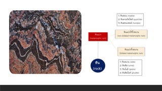 หิน
(rock)
หินแปร
(metamorphic rock)
1) หินอ่อน (marble)
2) หินควอร์ตไซต์ (quartzite)
3) หินฮอนเฟลส์ (hornfels)
หินแปรริ้วขนาน
(foliated metamorphic rock)
หินแปรไร้ริ้วขนาน
(non-foliated metamorphic rock)
1) หินชนวน (slate)
2) หินซีส (schist)
3) หินไนส์ (gneiss)
4) หินฟิลไลต์ (phyllite)
 