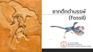 ซากดึกดาบรรพ์
(fossil)
Aj. Anuchit Kongsui
Demonstration school of
Khon Kaen university Nong Khai campus
 