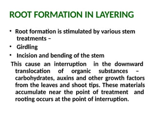 5_ 6 L Cutting Grafting Layering and Budding Autosaved.pptx