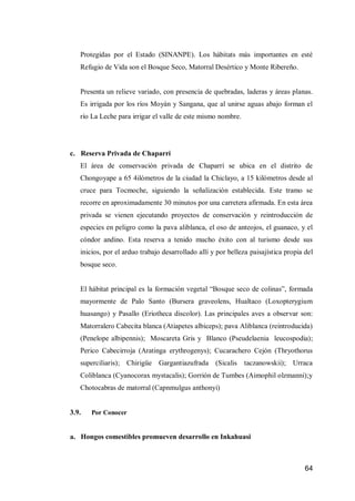 64 
Protegidas por el Estado (SINANPE). Los hábitats más importantes en esté Refugio de Vida son el Bosque Seco, Matorral Desértico y Monte Ribereño. 
Presenta un relieve variado, con presencia de quebradas, laderas y áreas planas. Es irrigada por los ríos Moyán y Sangana, que al unirse aguas abajo forman el río La Leche para irrigar el valle de este mismo nombre. 
c. Reserva Privada de Chaparrí 
El área de conservación privada de Chaparrí se ubica en el distrito de Chongoyape a 65 4ilómetros de la ciudad la Chiclayo, a 15 kilómetros desde al cruce para Tocmoche, siguiendo la señalización establecida. Este tramo se recorre en aproximadamente 30 minutos por una carretera afirmada. En esta área privada se vienen ejecutando proyectos de conservación y reintroducción de especies en peligro como la pava aliblanca, el oso de anteojos, el guanaco, y el cóndor andino. Esta reserva a tenido mucho éxito con al turismo desde sus inicios, por el arduo trabajo desarrollado allí y por belleza paisajística propia del bosque seco. 
El hábitat principal es la formación vegetal “Bosque seco de colinas”, formada mayormente de Palo Santo (Bursera graveolens, Hualtaco (Loxopterygium huasango) y Pasallo (Eriotheca discolor). Las principales aves a observar son: Matorralero Cabecita blanca (Atiapetes albiceps); pava Aliblanca (reintroducida) (Penelope albipennis); Moscareta Gris y Blanco (Pseudelaenia leucospodia); Perico Cabecirroja (Aratinga erythrogenys); Cucarachero Cejón (Thryothorus superciliaris); Chirigüe Gargantiazufrada (Sicalis taczanowskii); Urraca Coliblanca (Cyanocorax mystacalis); Gorrión de Tumbes (Aimophil olzmanni);y Chotocabras de matorral (Capnmulgus anthonyi) 
3.9. Por Conocer 
a. Hongos comestibles promueven desarrollo en Inkahuasi 
 